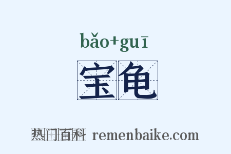 宝龟是什么意思的图片